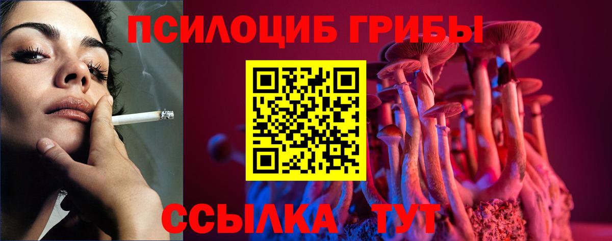 Псилоцибиновые грибы Magic Shrooms  Галлюциногенные грибы Psilocybe  Кохма  Вход с VPN 